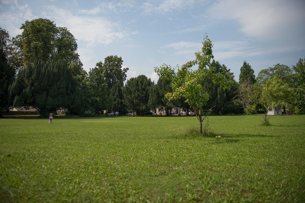 Parkhotel Tillmanns Eltville am Rhein Exteriör bild